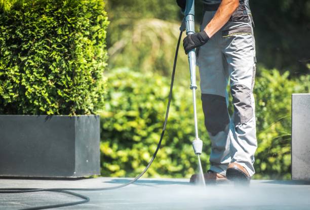 Trusted Owingsville, KY Pressure Washing Services Experts