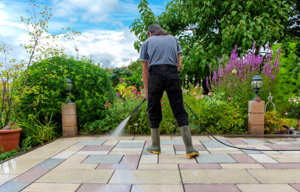 Best Roof Cleaning and Mildew Removal in Owingsville, KY